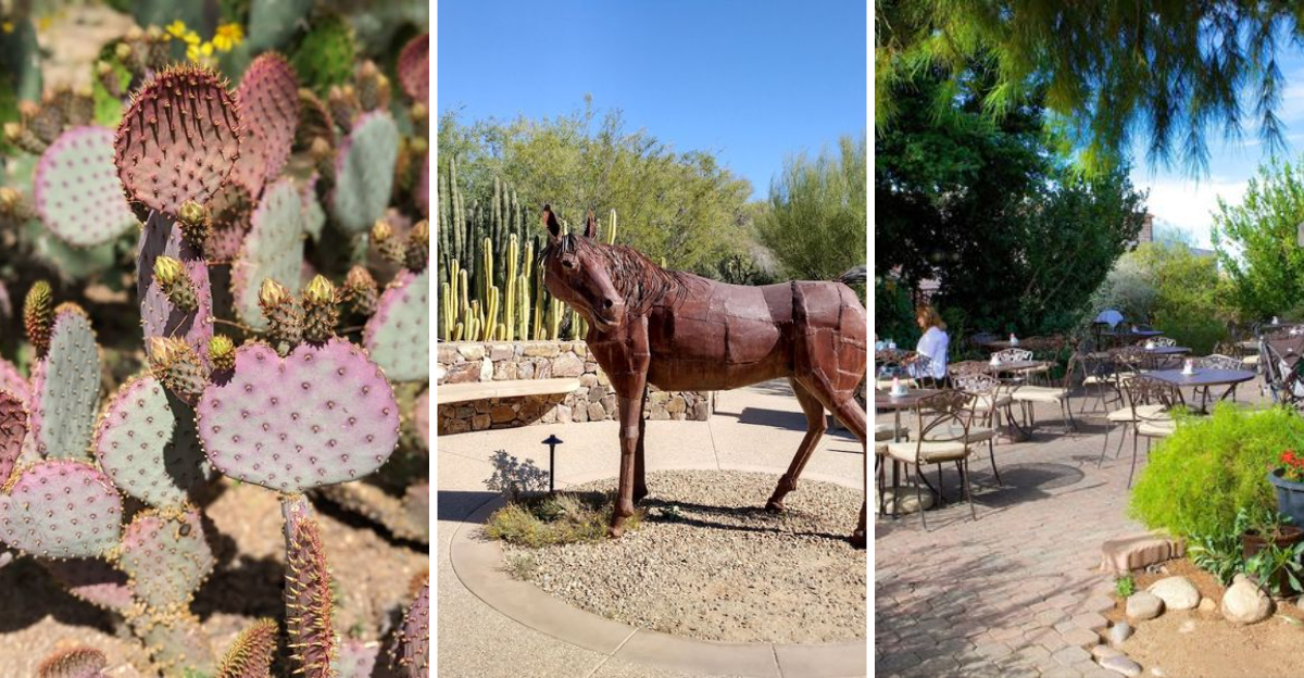 You’ll Never Forget Your First Visit To This Magical Botanical Garden Hiding In Arizona