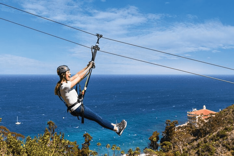 Ziplining Over Catalina's Wild Interior