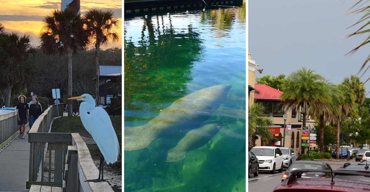 10 Affordable Florida Road Trips That Deliver Big Adventures For Less