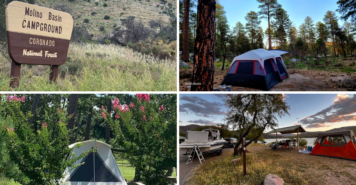 10 Beautiful No Reservation Campgrounds Worth Visiting In Arizona