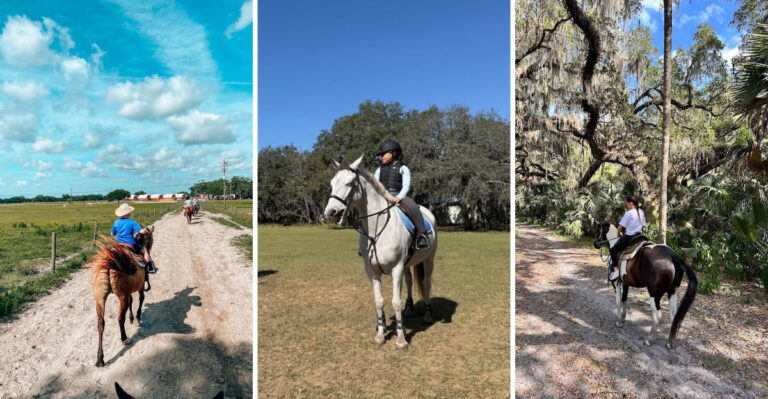 12 Florida Ranches That Make Horseback Riding A Peaceful Escape