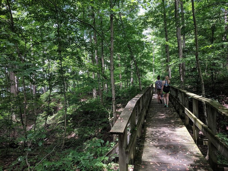 18 Hiking Trails for Every Skill Level