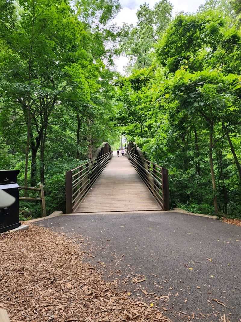 72 Acres of Stunning Nature Trails Above Ground