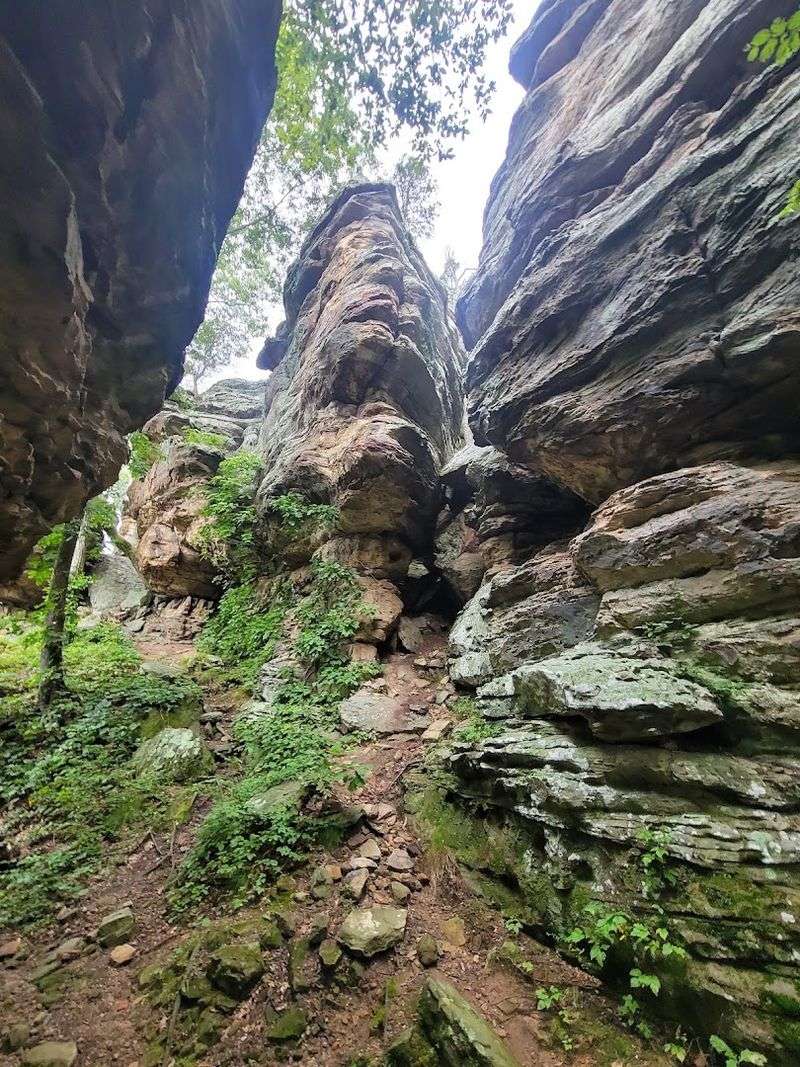A 1.6-Mile Loop That Packs in Incredible Variety