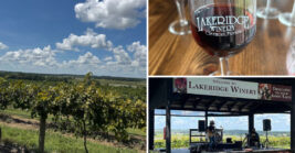 A 127 Acre Florida Estate Offers Completely Free Wine Tastings 7 Days A Week