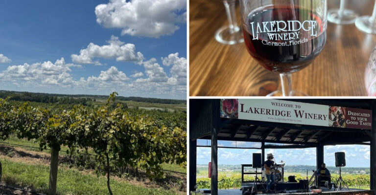 A 127 Acre Florida Estate Offers Completely Free Wine Tastings 7 Days A Week