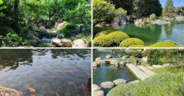 A 3.5 Acre Garden in Arizona Is Like Something Straight Out of A Storybook
