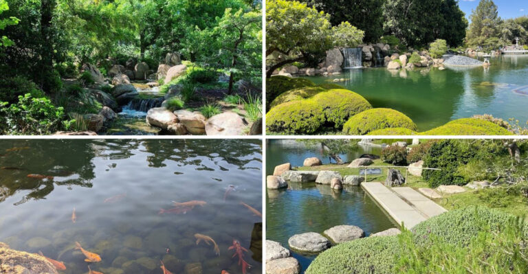 A 3.5 Acre Garden in Arizona Is Like Something Straight Out of A Storybook