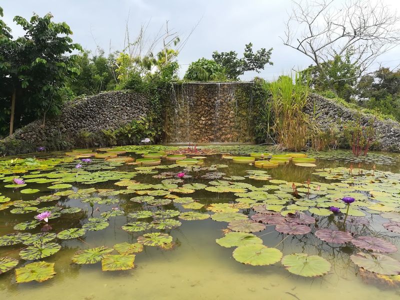 A 37-Acre Tropical Wonderland Worth Every Step A 37-Acre Tropical Wonderland Worth Every Step