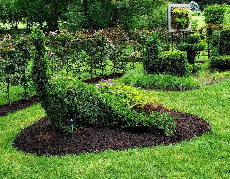 A 90-Year Legacy Written in Petals and Soil