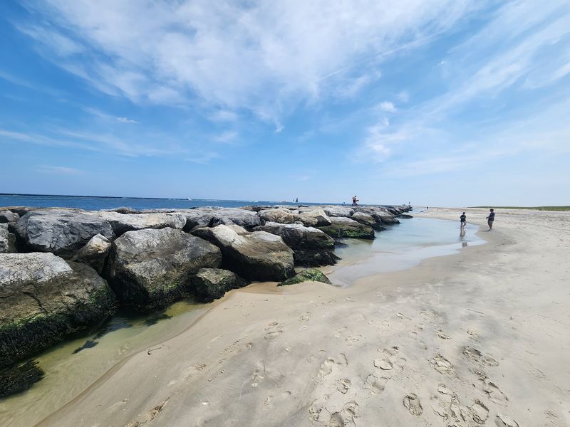 A Beach Experience Unlike Any Other