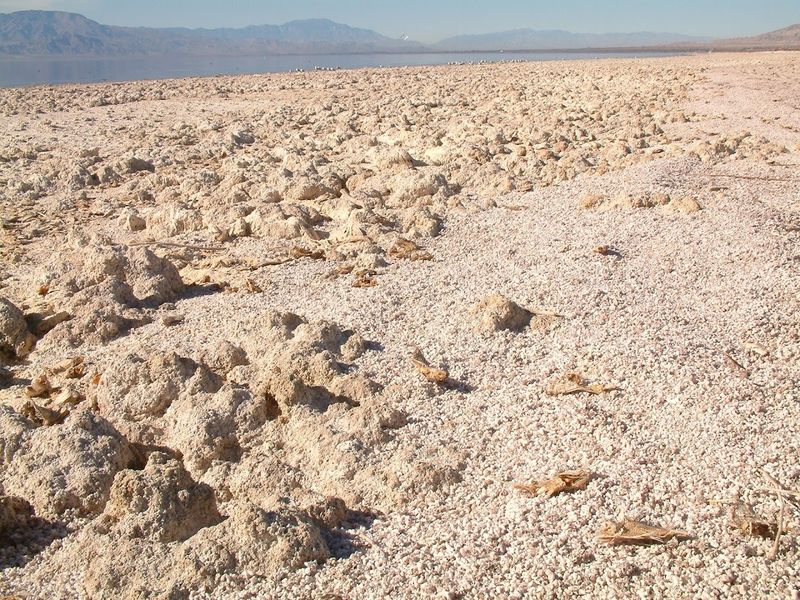 A Beach Unlike Any Other in California