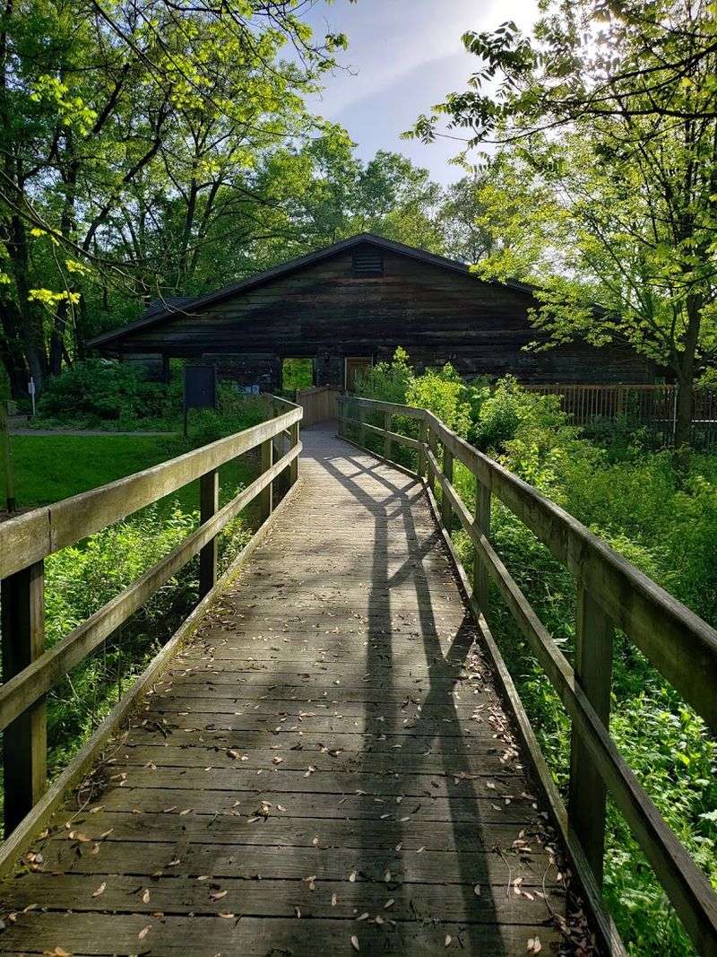 A Bird Observatory Unlike Anything You Have Seen Before