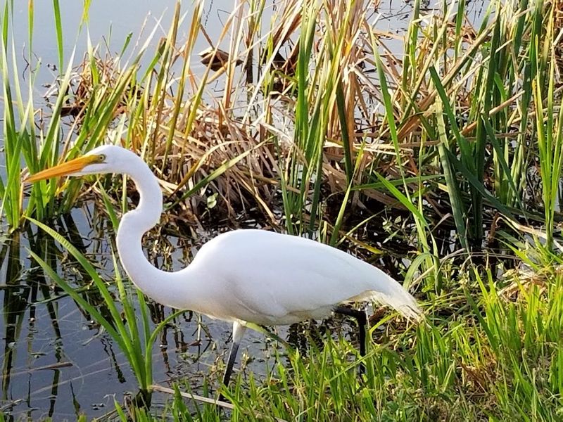 A Bird Watcher's Dream Destination A Bird Watcher's Dream Destination
