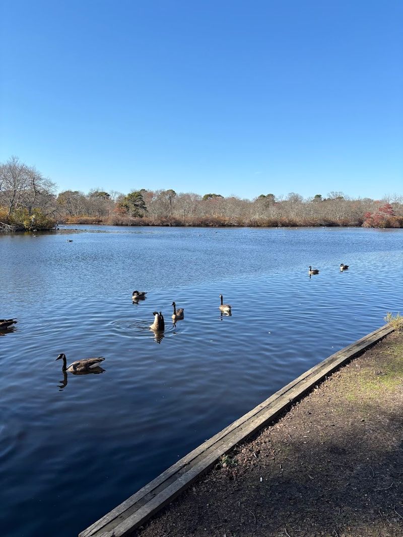 A Birdwatcher's Quiet Paradise A Birdwatcher's Quiet Paradise