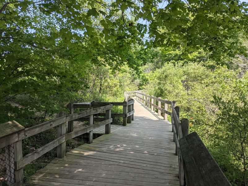 A Boardwalk Journey That Builds Suspense With Every Step