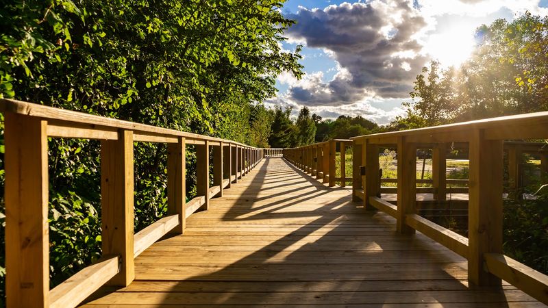 A Boardwalk Trail Perfect for Every Kind of Visitor A Boardwalk Trail Perfect for Every Kind of Visitor