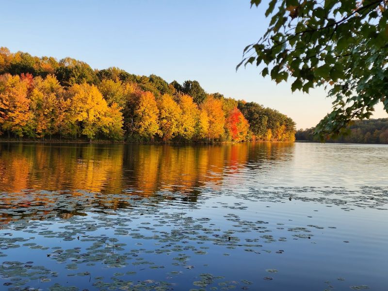 A Breathtaking 300-Acre Lake That Steals the Show