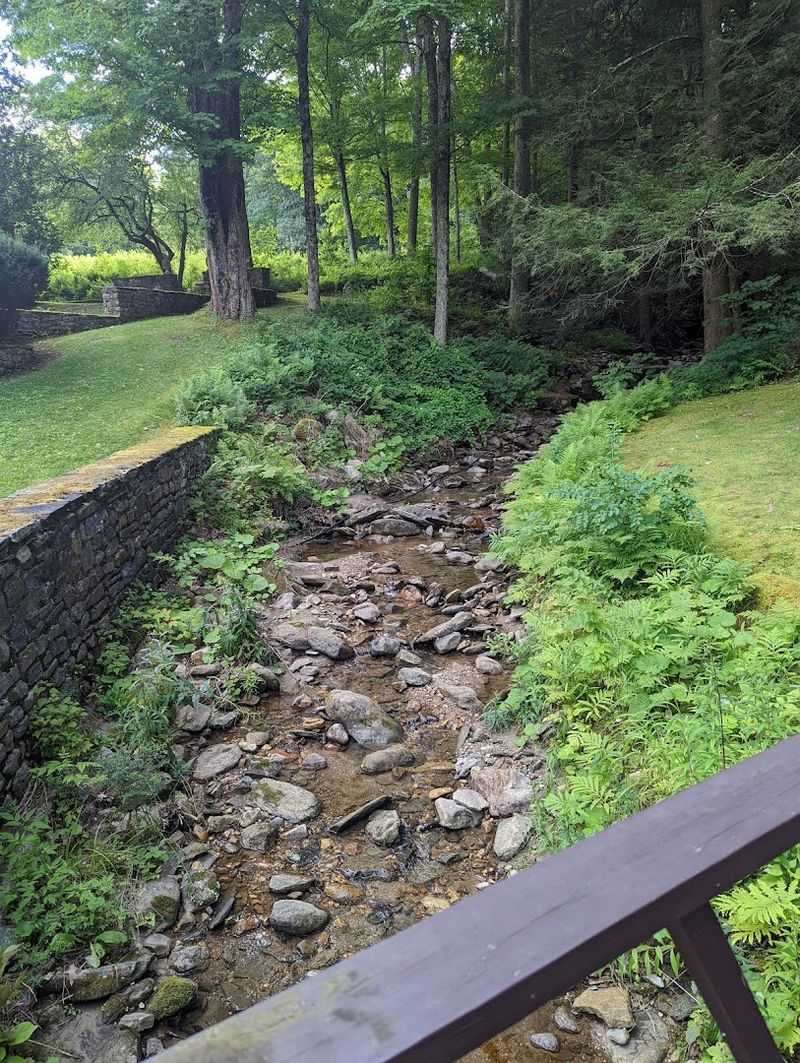 A Brook That Adds Pure Magic to the Landscape
