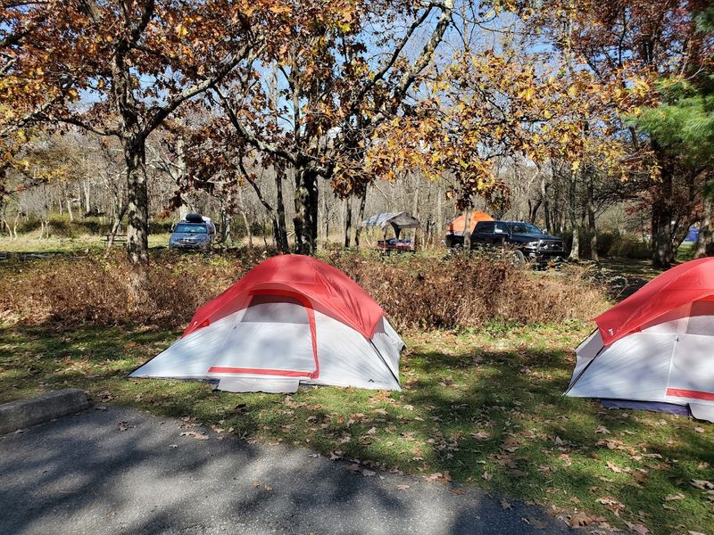 A Campground So Big It Has Its Own Loops and Neighborhoods