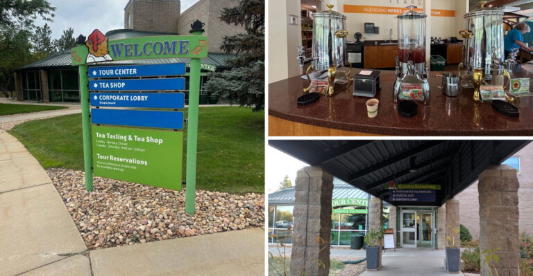 A Colorado Tea Factory Has A Mint Room So Powerful It Will Clear Your Sinuses Instantly 4