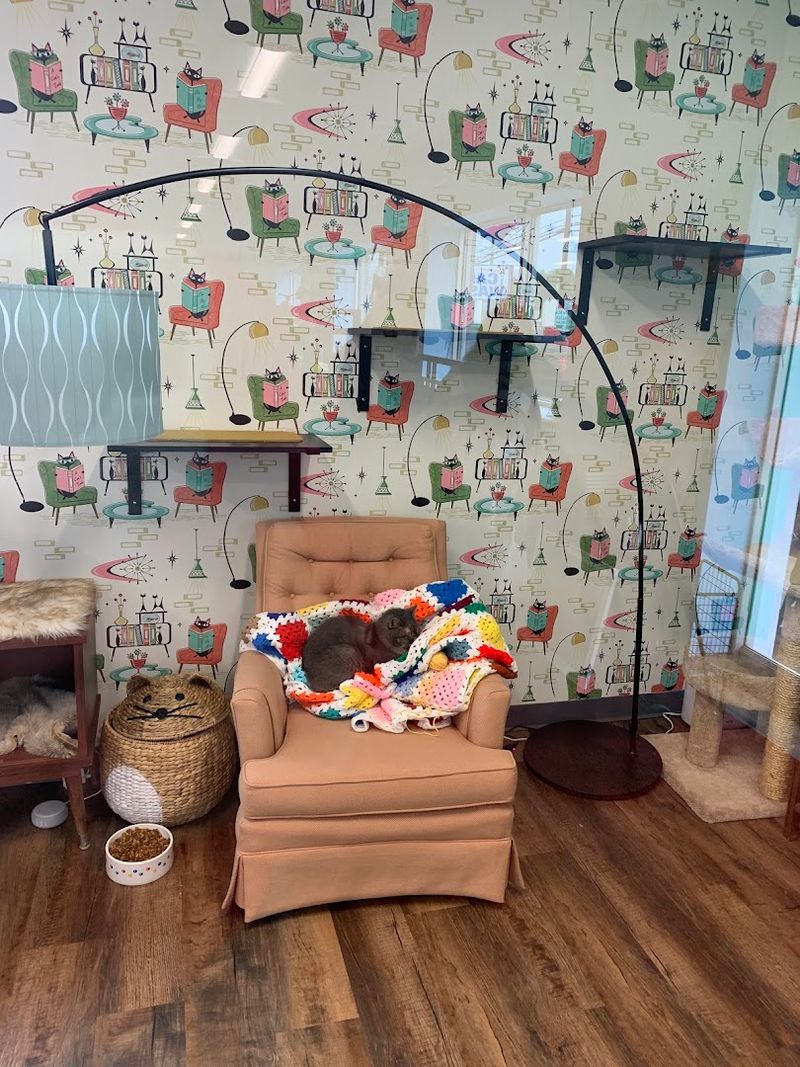 A Community Built Around Kindness and Connection