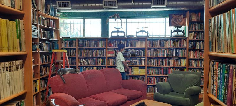 A Community Gathering Spot for Book Lovers of All Ages