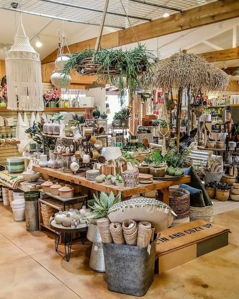 A Community Hub Where Plant Lovers Always Belong