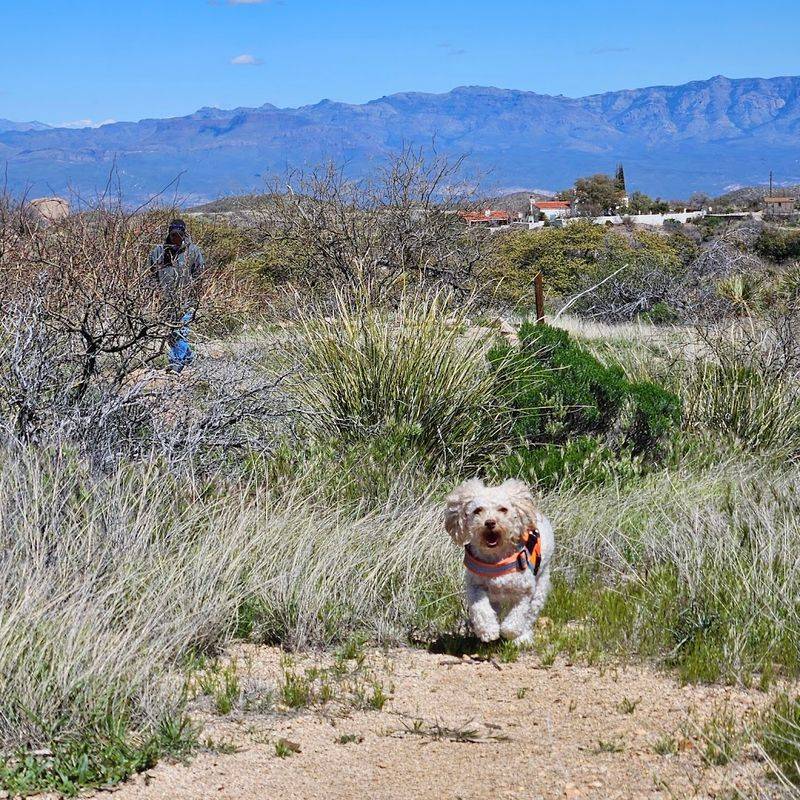A Cool Climate That Beats the Arizona Heat