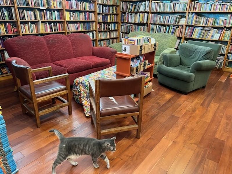 A Cozy Reading Nook Made for Lingering