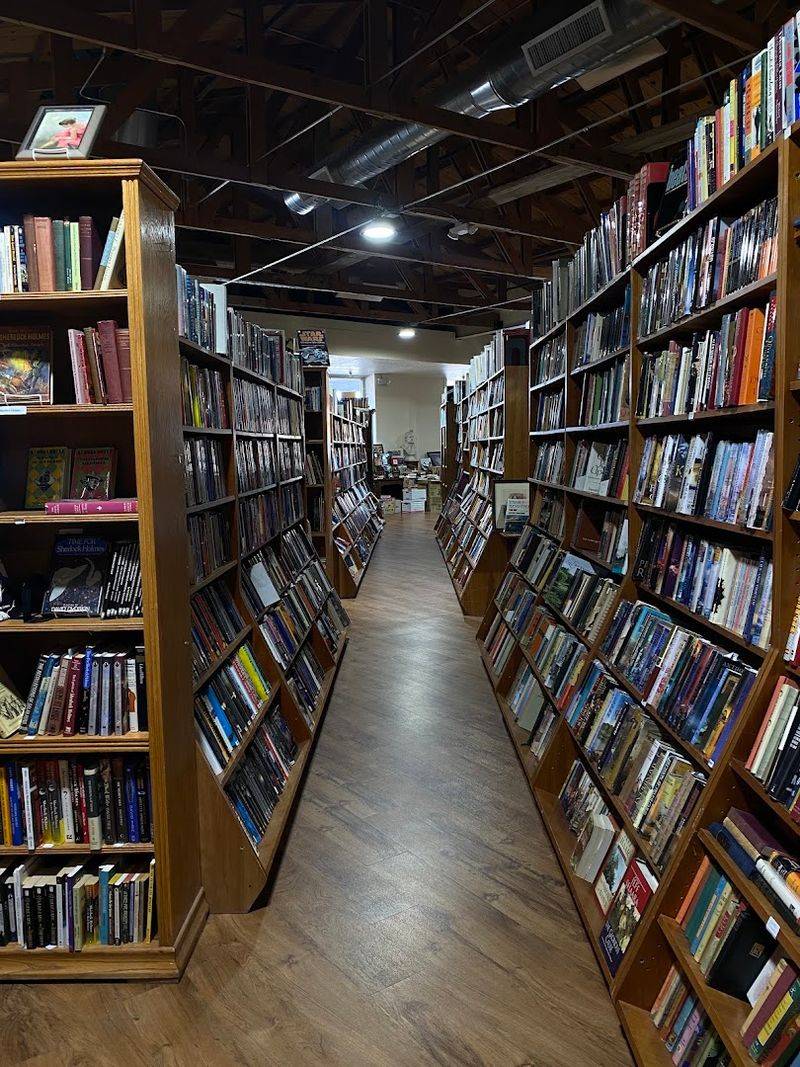 A Curated Selection That Covers Every Genre Imaginable
