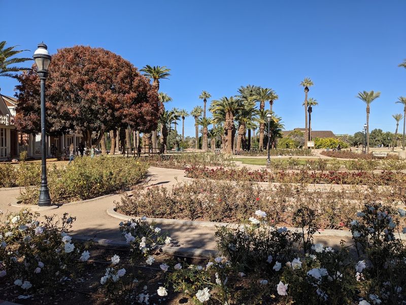 A Desert Rock Garden Worth Discovering