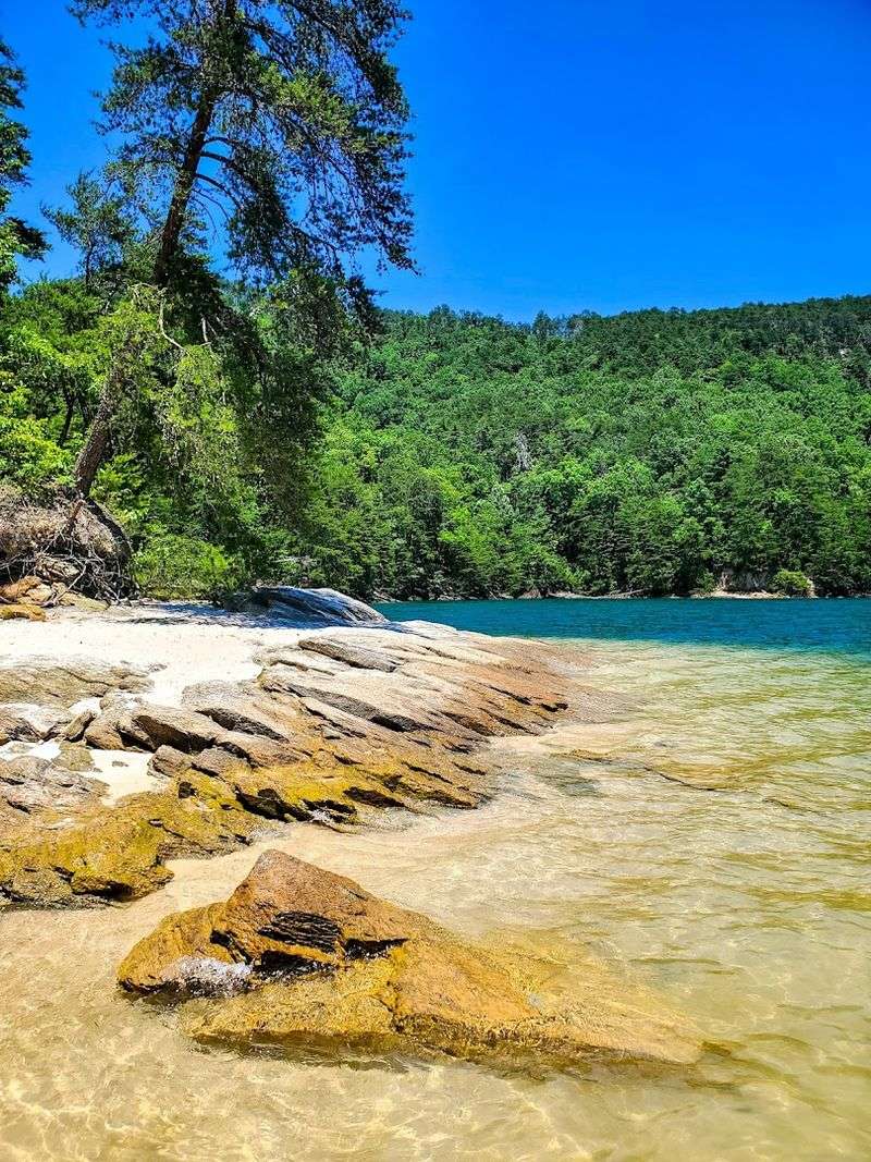 A Designated Swimming Beach Perfect For Families
