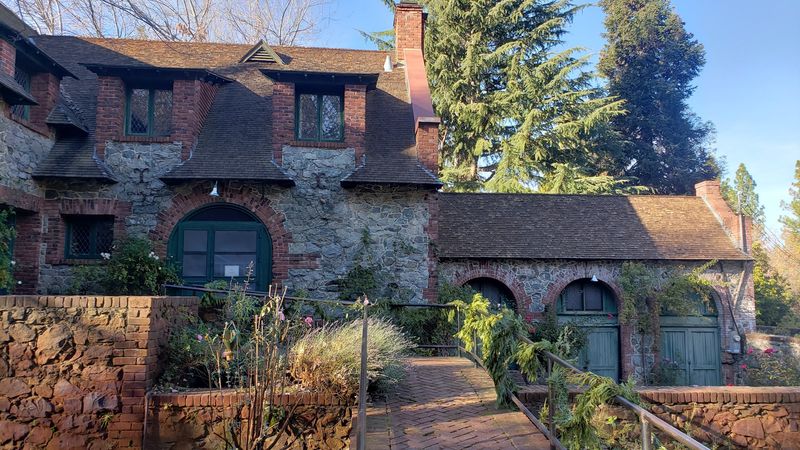 A Dog-Friendly Destination Worth Returning To