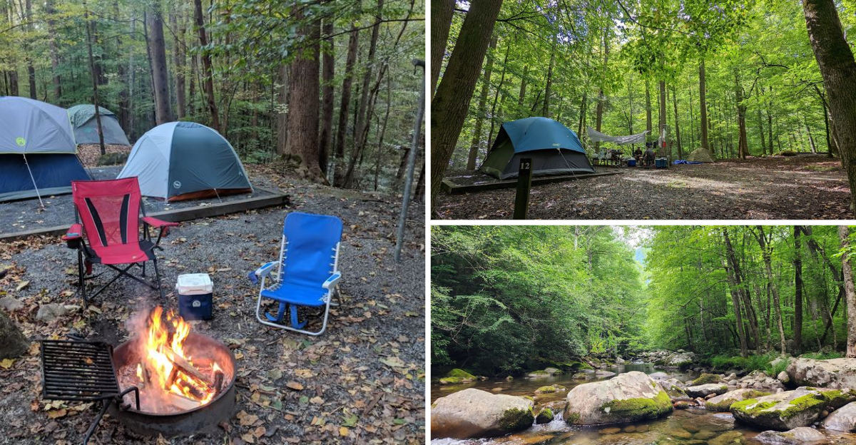 A Entire North Carolina Campground Can Be All Yours for Just 30 A Night