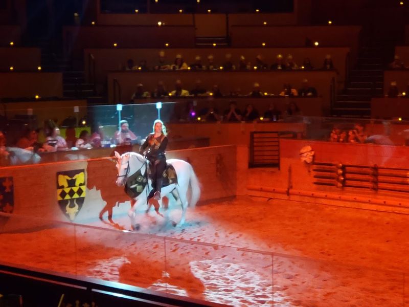 A Falconry Display That Adds Pure Magic to the Show