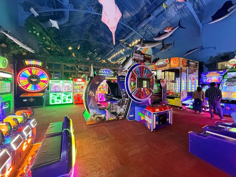 A Family-Friendly Atmosphere Built For Everyone