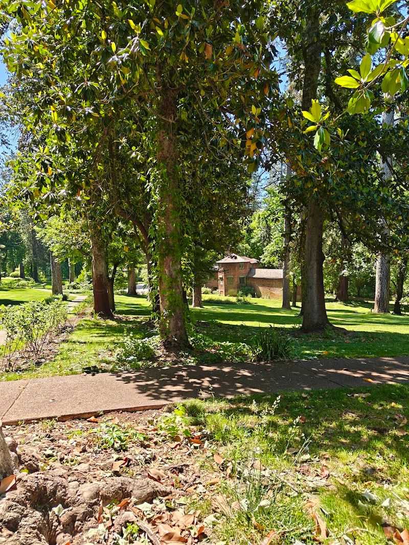 A Family-Friendly Outing With Picnic Areas A Family-Friendly Outing With Picnic Areas