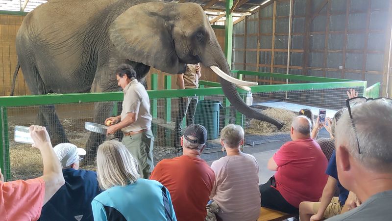 A Family-Owned Sanctuary With a Heartfelt Mission