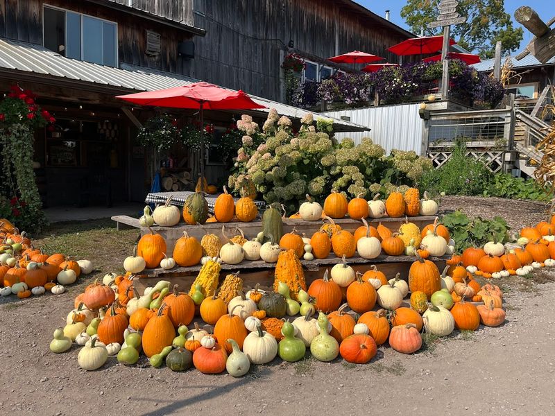 A Farm Market Full of Delightful Finds