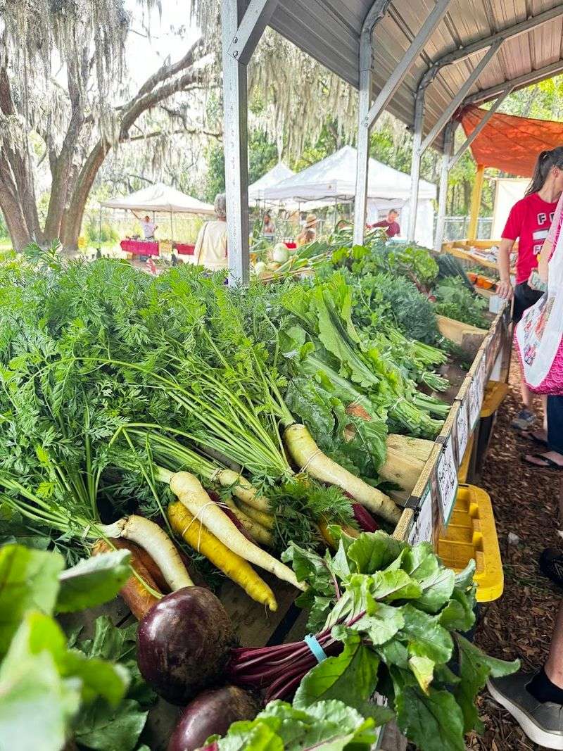 A Farmers Market Full of Vendors and Vibrant Finds