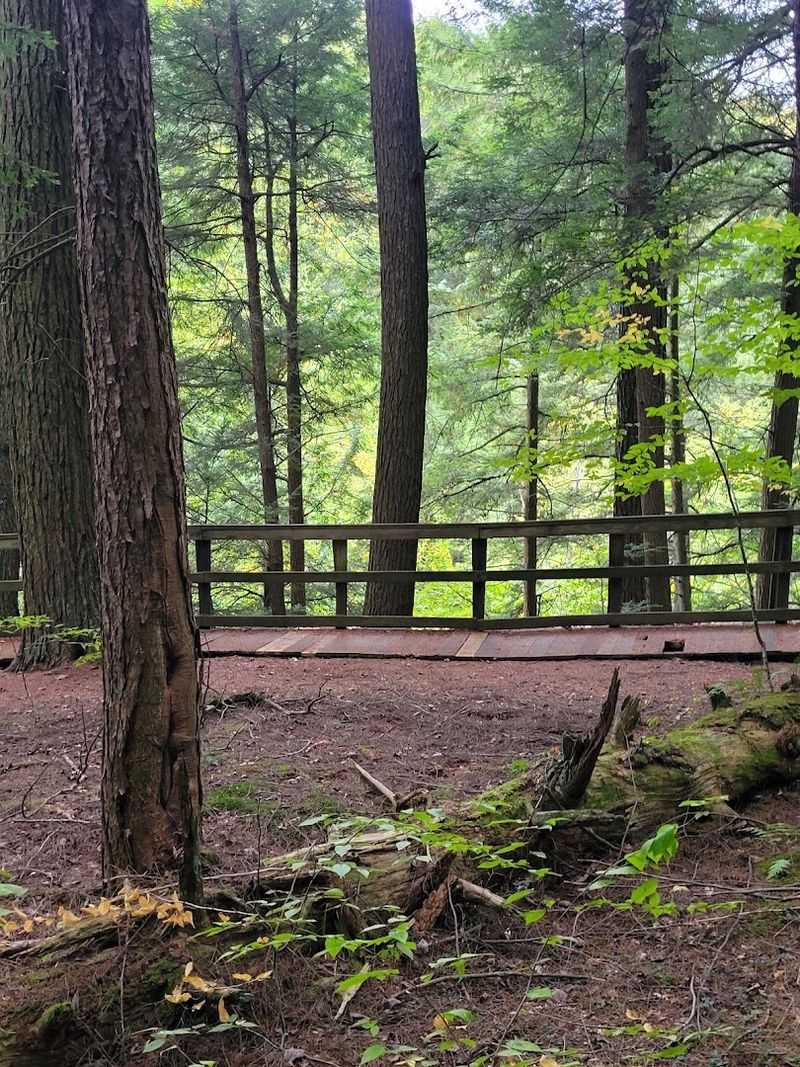 A Fenced Garden Hidden Among the Forest Trails
