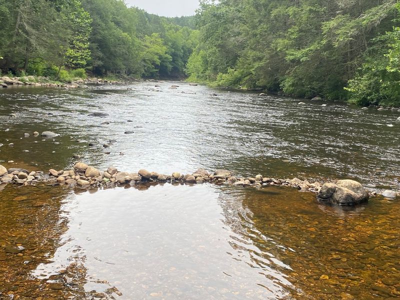 A Forest That Spans Nearly 7,000 Acres