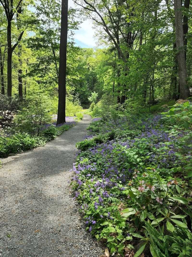 A Forested Botanical Garden Unlike Any Other