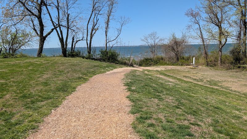 A Forested Trail to the Beach