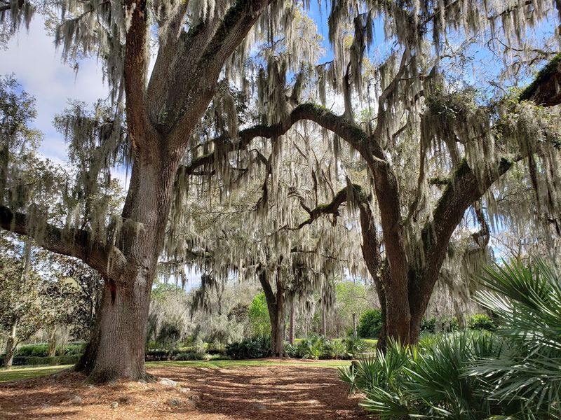 A Free Public Park That Feels Like a Hidden Treasure