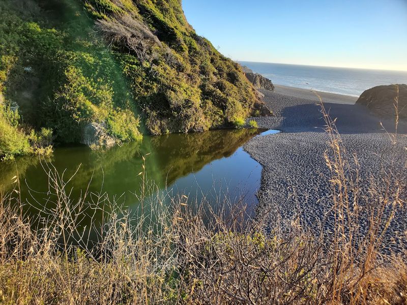 A Freshwater Pond Hidden Right Next to the Ocean A Freshwater Pond Hidden Right Next to the Ocean