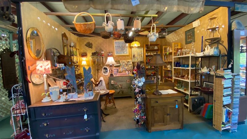 A Friendly Staff That Lets You Browse in Peace
