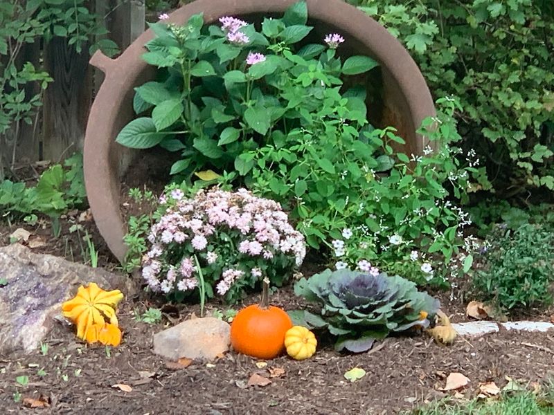 A Fruit and Vegetable Garden That Adds a Delightful Surprise A Fruit and Vegetable Garden That Adds a Delightful Surprise