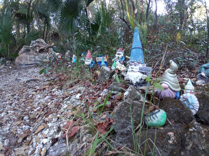 A Geocache Adventure Hidden in the Park